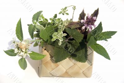 Fresh herbs in basket