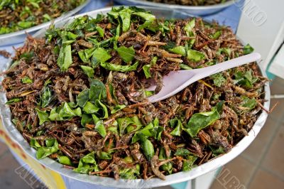 grasshoppers for a meal, Asia