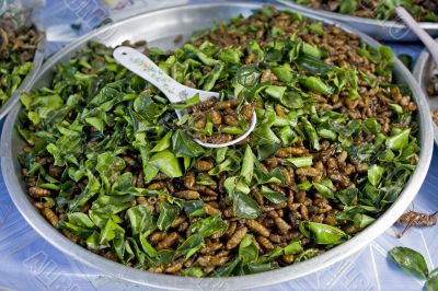 maggots for a meal, Asia