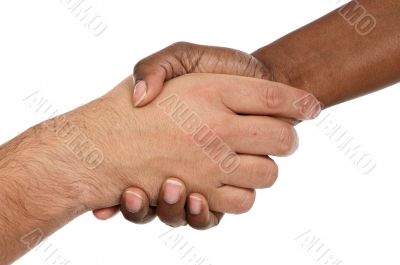 African and caucasian male shaking hands