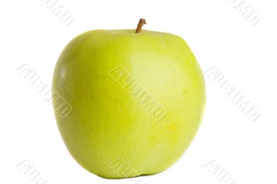 Green delicious apple with reflection Green delicious apple with reflection