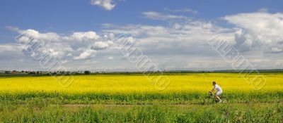 Bike and Yellow Meadow Flowers Bike and Yellow Meadow Flowers