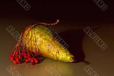 Pears and the ashberry twig