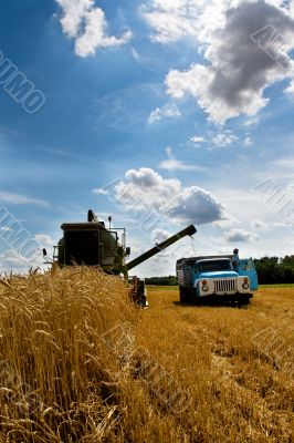 Combine at harvest time