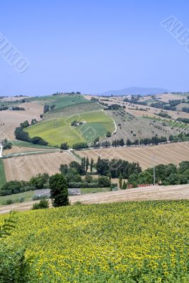 Marche - Landscape Marche - Landscape