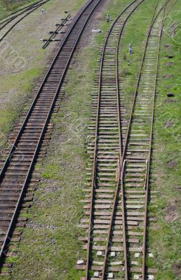 Rails in green grass