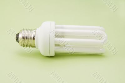 bulb