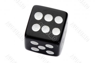 Black dice Black dice