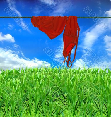 a wet swimming suit dries on a background blue sky