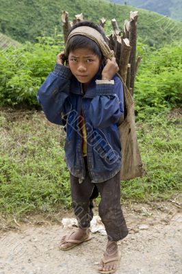 Child transports firewood, Laos