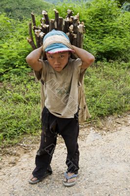 Child transports firewood, Laos
