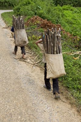 Child transports firewood, Laos