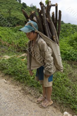 Child transports firewood, Laos