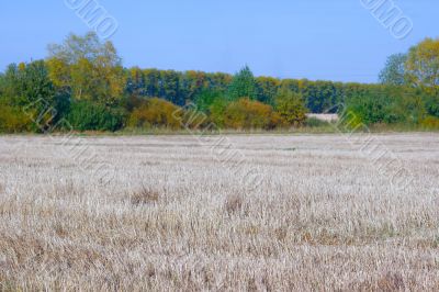 Autumn landscape Autumn landscape