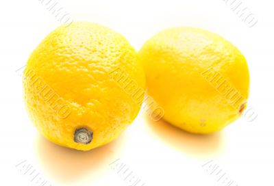 ripe juicy lemons ripe juicy lemons