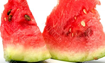 watermelon watermelon