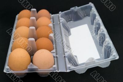 Ten eggs in packing