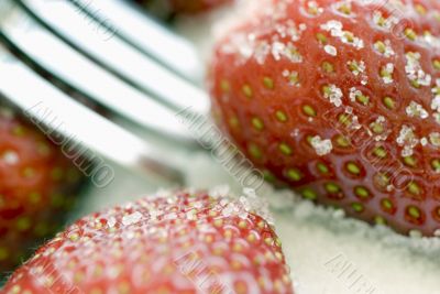 strawberry, sugar and fork