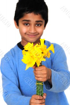 Daffodils