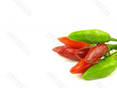 chili pepper and hot red pepper very close