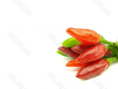 chili pepper and hot red pepper very close