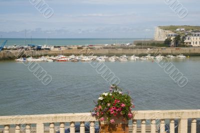 Flowers in front of the harbor