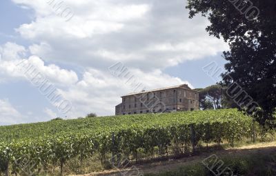 Farm with vineyard in Italy