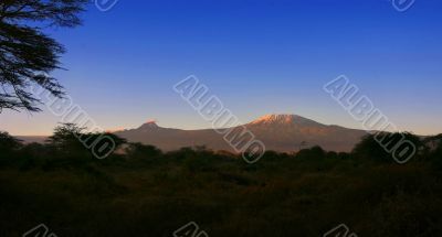 Kilimanjaro Mountain Morning