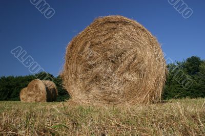 Idyllic field with hay bales in late summer