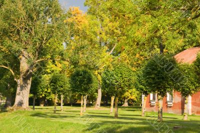 Park in autumn