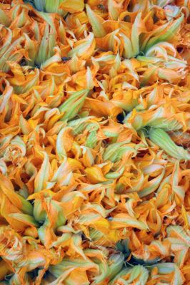 Courgette flowers