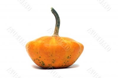 Fancy pumpkin