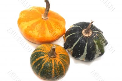 Three fancy pumpkins