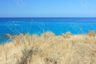 Tropea dry grass