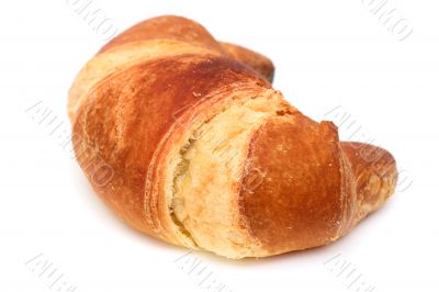 Italian brioche or french croissant