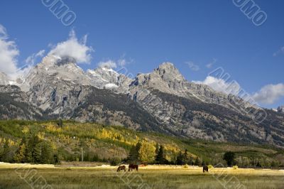 Grand Teton National Park