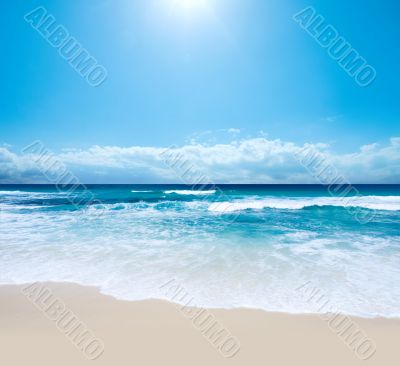 A Piece of Paradise A Piece of Paradise