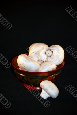 Mushrooms in bowl