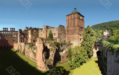 The Heidelberg Castle The Heidelberg Castle