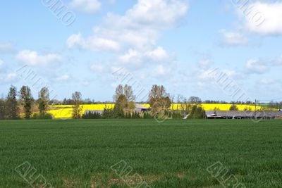 Landscape: a green field and behind it yellow open spaces of a b