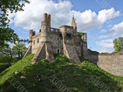 Ruins of medieval castle on a hill under which goats are grazed
