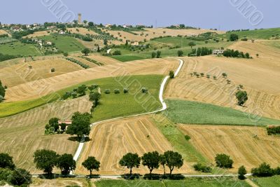 Marche - Landscape