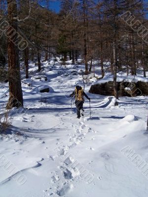 Hike in the snow