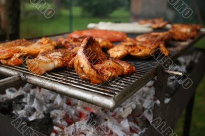 Barbecue with german meat