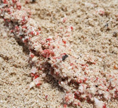 rose-coloured sand on the beach