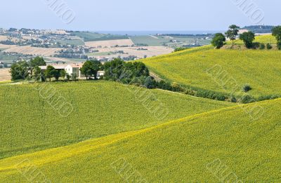 Marche - Landscape Marche - Landscape