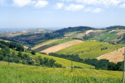 Marche - Panoramic view