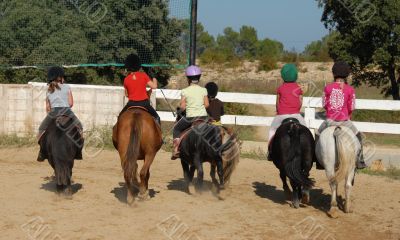 children and ponies