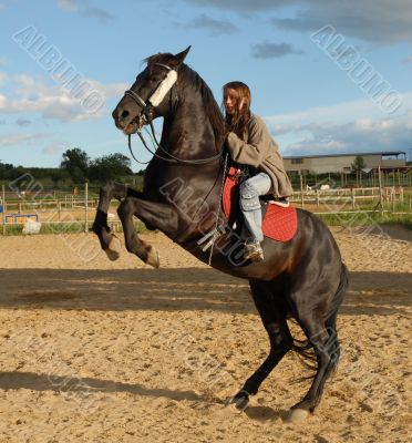 rearing horse