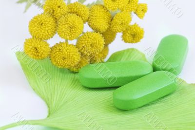 Closeup of pills and fresh Ginkgo Biloba